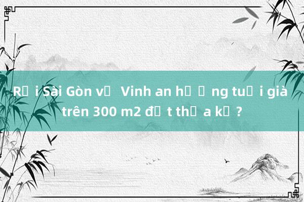 Rời Sài Gòn về Vinh an hưởng tuổi già trên 300 m2 đất thừa kế?