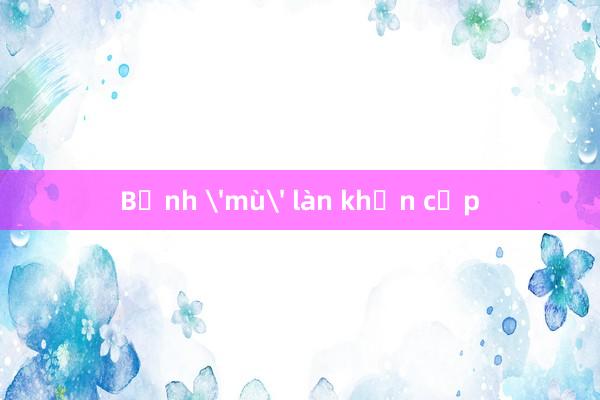 Bệnh 'mù' làn khẩn cấp