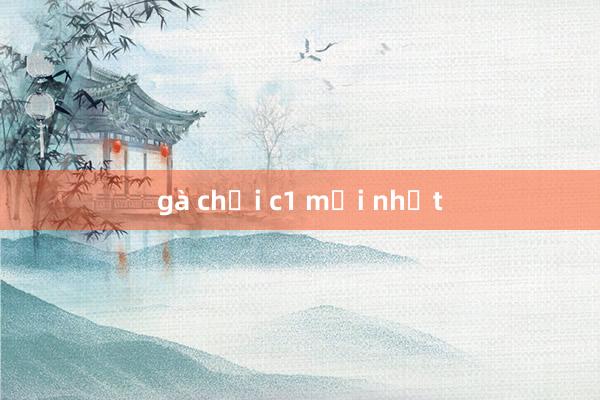 gà chọi c1 mới nhất