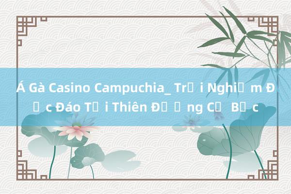 Á Gà Casino Campuchia_ Trải Nghiệm Độc Đáo Tại Thiên Đường Cờ Bạc