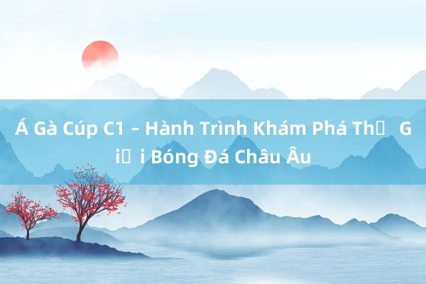 Á Gà Cúp C1 – Hành Trình Khám Phá Thế Giới Bóng Đá Châu Âu