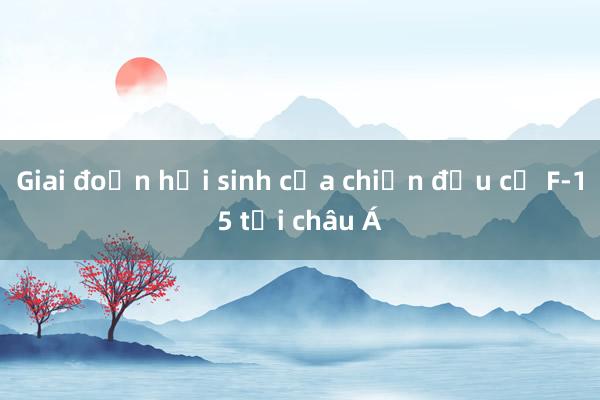 Giai đoạn hồi sinh của chiến đấu cơ F-15 tại châu Á