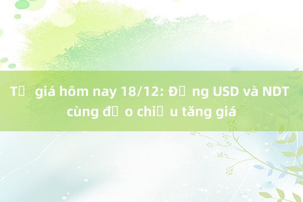 Tỷ giá hôm nay 18/12: Đồng USD và NDT cùng đảo chiều tăng giá