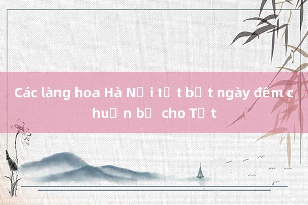 Các làng hoa Hà Nội tất bật ngày đêm chuẩn bị cho Tết