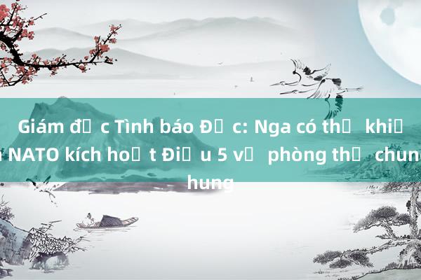 Giám đốc Tình báo Đức: Nga có thể khiến NATO kích hoạt Điều 5 về phòng thủ chung