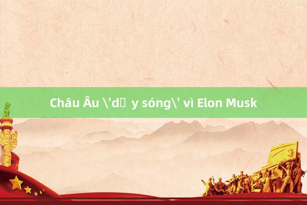 Châu Âu 'dậy sóng' vì Elon Musk